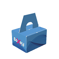 Box with handle