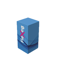 Four flap box
